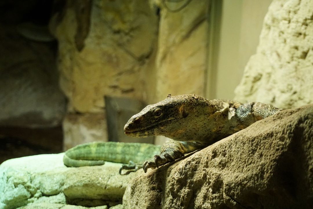 Acuario de Sevilla