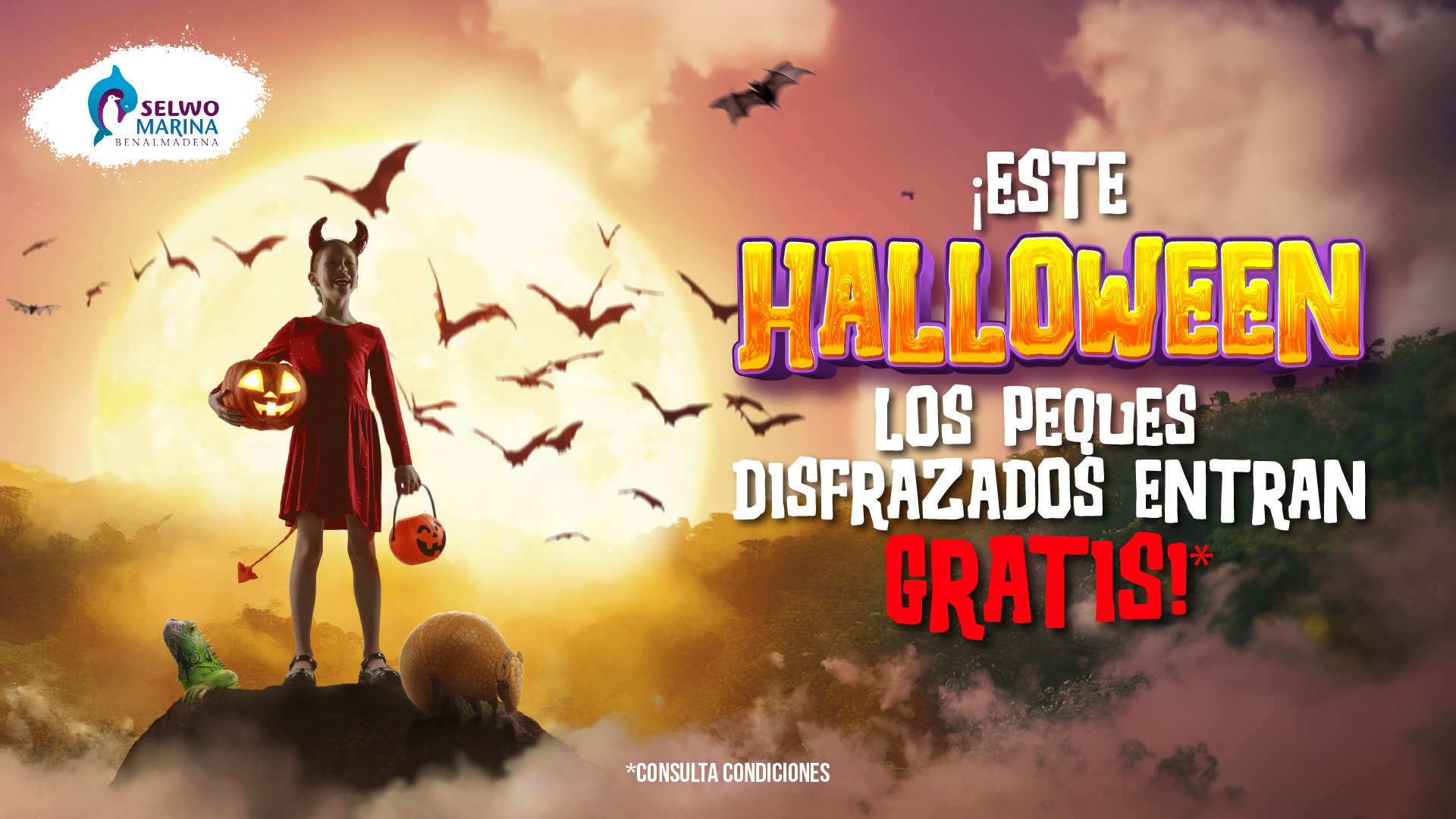 selwo halloween