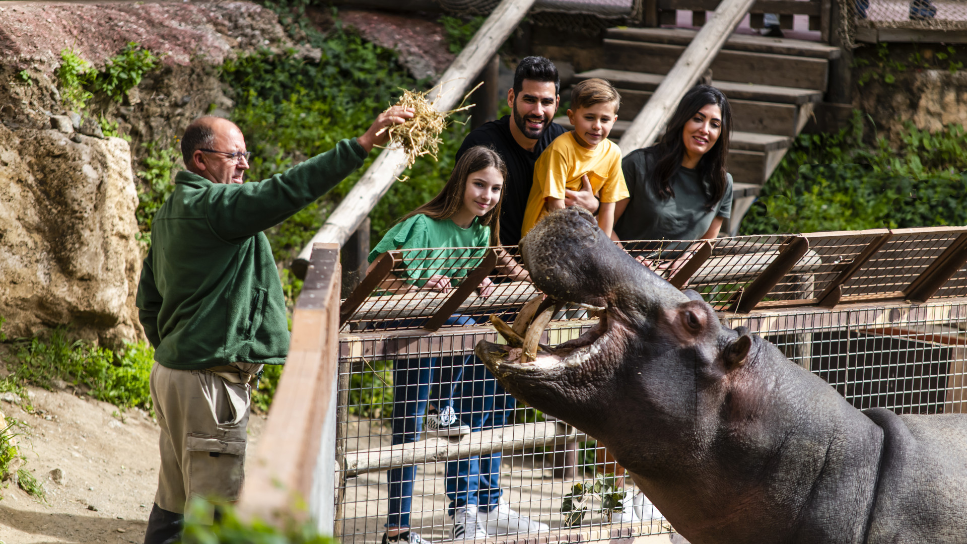 selwo aventura la banda selwo aventura la banda