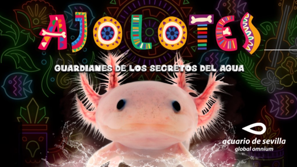 acuario de sevilla la banda