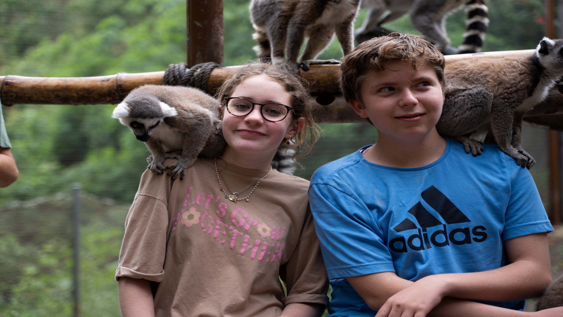 Campamentos selwo la banda