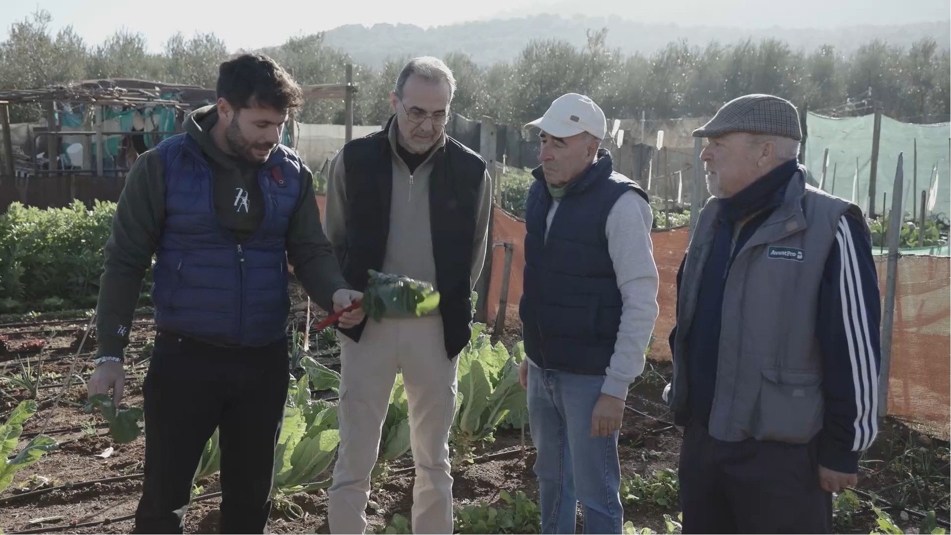 tierra de sabores canal sur